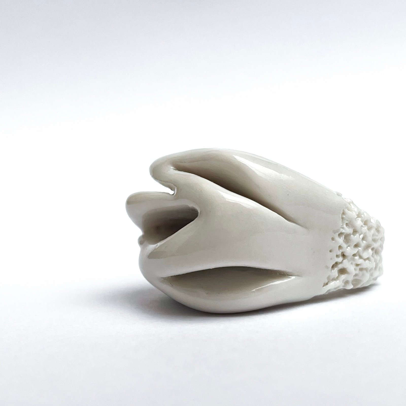 Coralia N•1 - Imagen 6